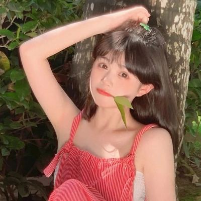 我成语贼6红包版下载